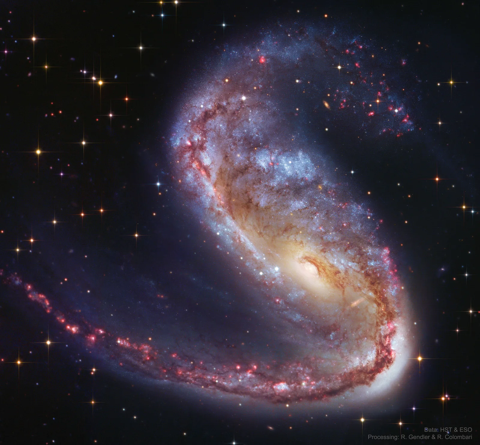 Kozmik Bir Kanca: Uçan Balık Takımyıldızındaki Bükülmüş Galaksi NGC 2442